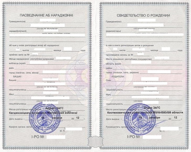 How to Extract Your Algerian Birth Certificate Online (S12 / EC12S)